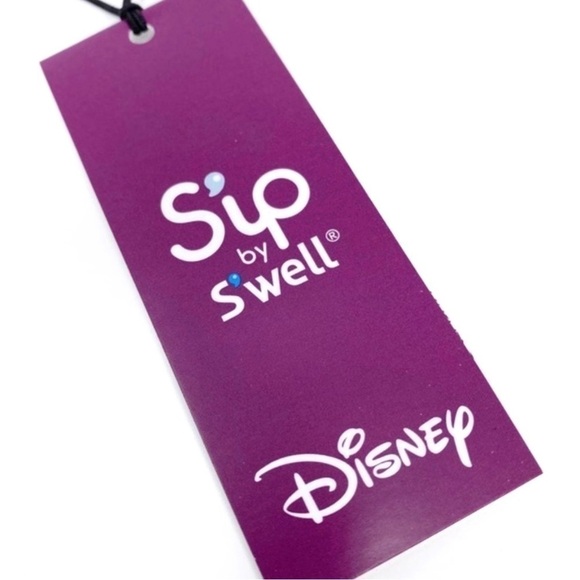 Frozen Water Bottle S’ip by S’well Disney II Elsa Stainless Steel Blue New - Picture 7 of 12